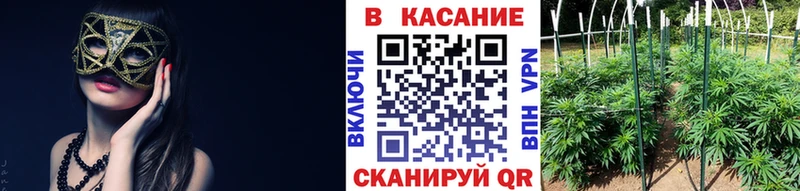 Купить наркотик Ахтубинск Псилоцибиновые грибы  КОКАИН  МЕФ  Канабис  ГАШИШ 