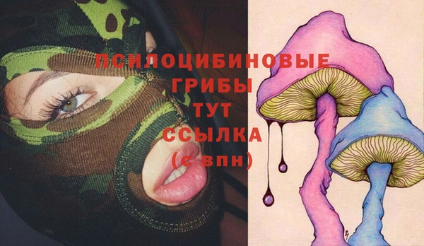 стафф Сафоново