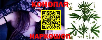 эйфоретик Аргун