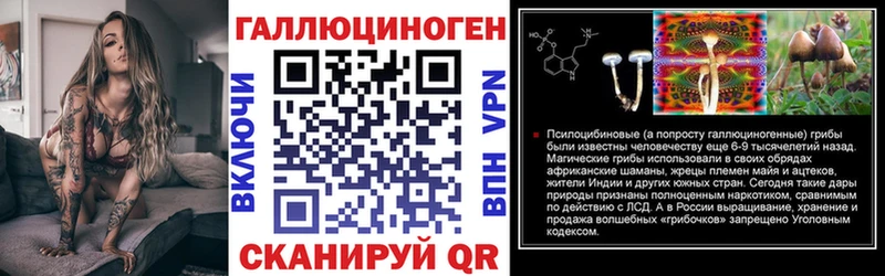 МЕГА зеркало  Ахтубинск  Галлюциногенные грибы Psilocybe  купить наркотик 
