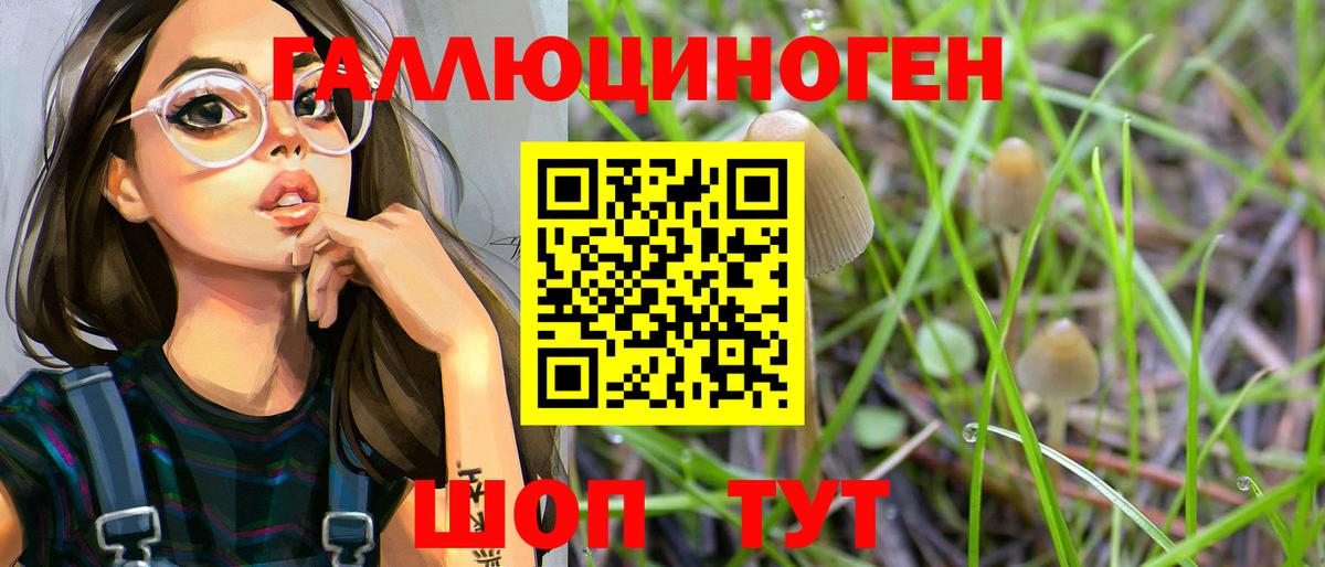 Псилоцибиновые грибы ЛСД Ахтубинск