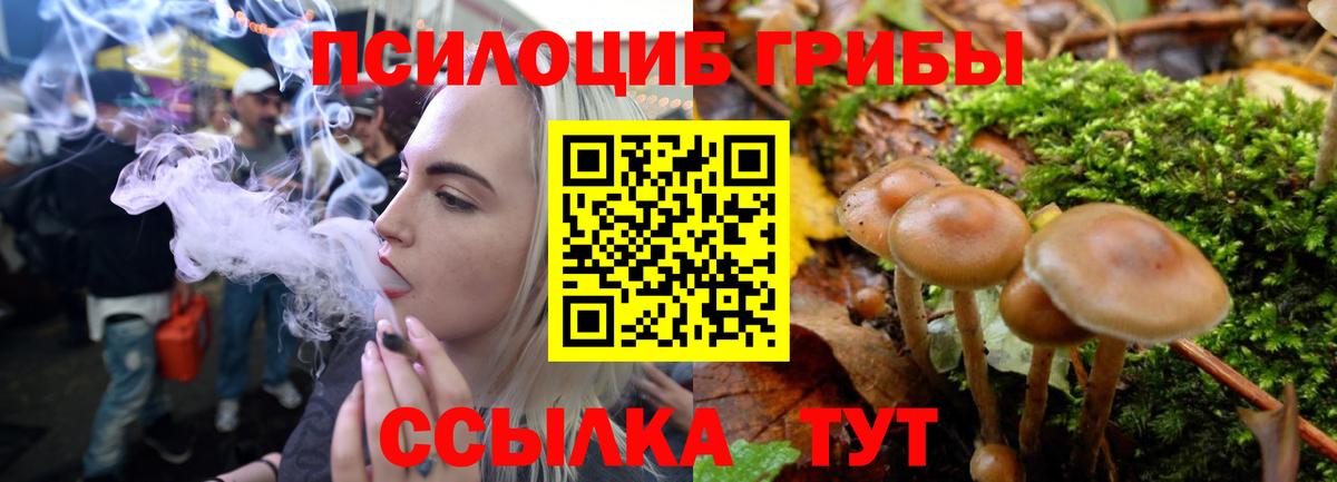 Псилоцибиновые грибы Psilocybe  как найти закладки  Ахтубинск  Вход с VPN 